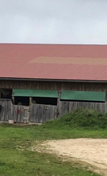 Ausbau Ponystall PSV Roggenburg