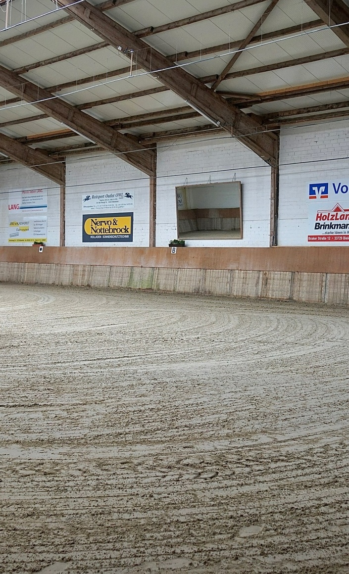 Sanierung des Reithallenbodens