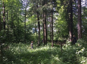 Neuer Waldkindergarten Lenggries | Ausstattung