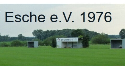 Große Ansicht vom Video