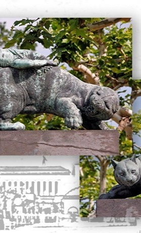 Raubkatzen im Platanenhain