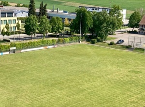 Rasenmähtraktor für den TSV Merklingen