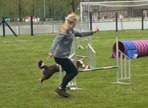 Flutlichtanlage für das Agility Team Heek