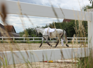 ............. - unser wichtigster Trainingspartner