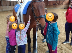 Wir suchen unseren neuen vierbeinigen Teampartner