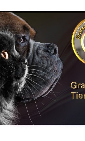Ein Herz für die Grafschafter Tiere