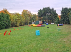 Doppelstabmattenzaun Hundefreunde