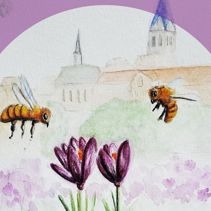 100.000 Krokusse für 1 Million Bienen