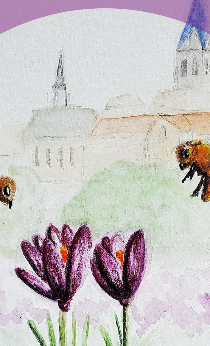 100.000 Krokusse für 1 Million Bienen