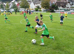 Kunstrasenfeld + Laufbahn