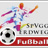 Fußballabteilung SpVgg Erdweg 1957 e.V.
