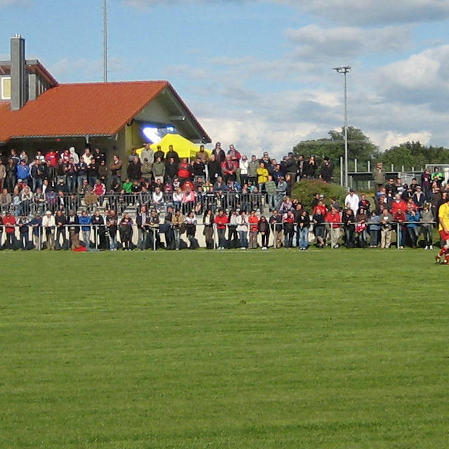 Rasen-Kehrmaschine
