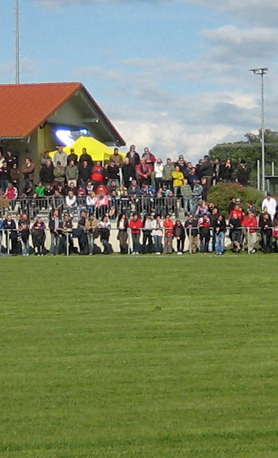 Rasen-Kehrmaschine
