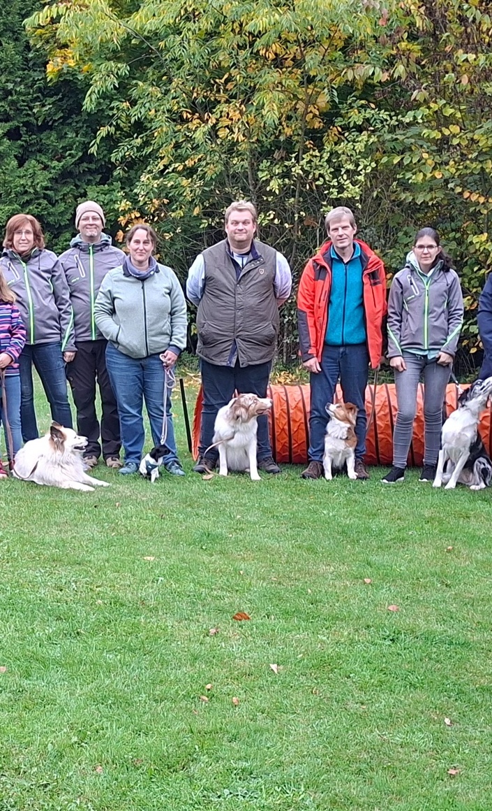 Doppelstabmattenzaun Hundefreunde