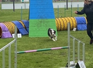 Flutlichtanlage für das Agility Team Heek