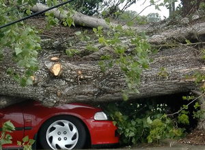 Video - Anschaffung eines Holzspannungssimulators