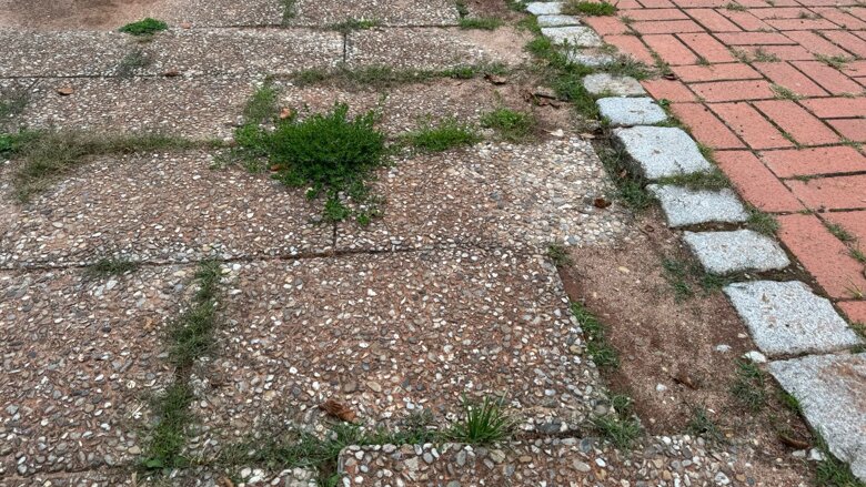 Große Ansicht vom Video