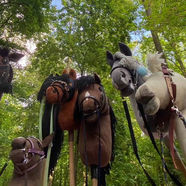 Ausrüstung für die Hobby Horsing Gruppe, Nördlingen