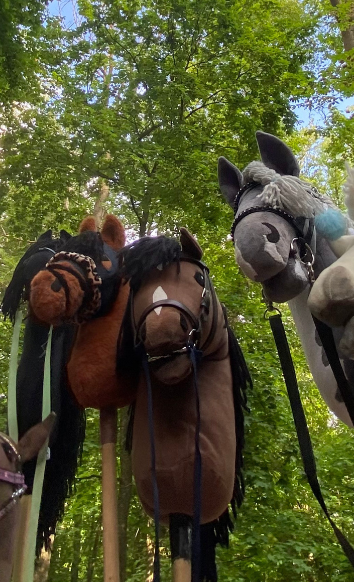 Ausrüstung für die Hobby Horsing Gruppe, Nördlingen