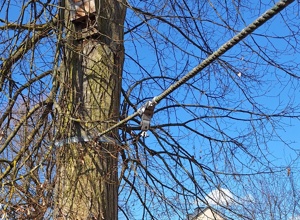 Neues Klettergerüst für die Auferstehungskita