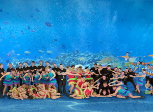 Video - Showtanzkostüm 2015/2016