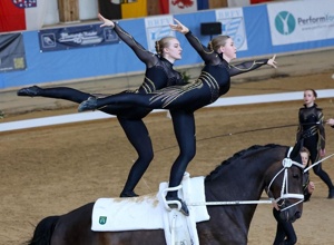 Neues Voltigierpferd für den RSV Neuss-Grimlinghausen e.V.