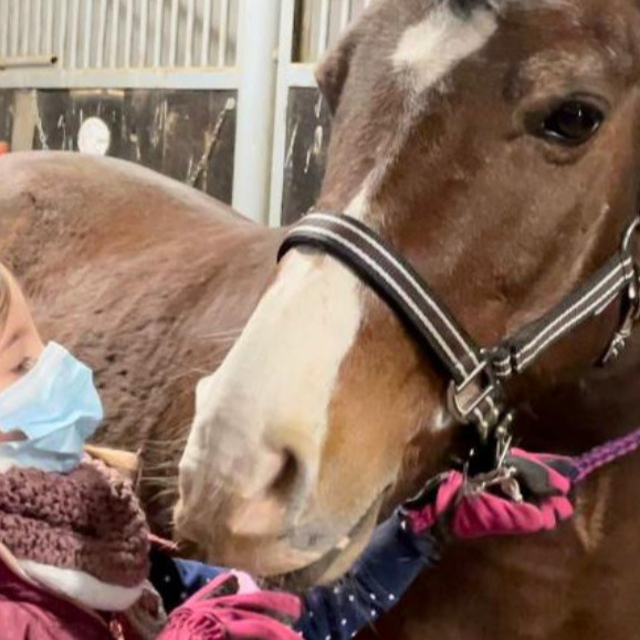 Ponys für unseren Nachwuchs