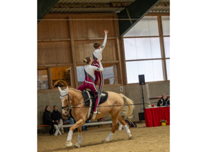 Neues Voltigierpferd für die SG Mauerbach