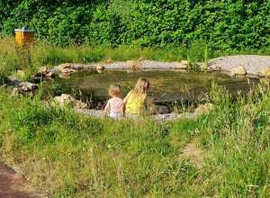 FÖJ-Stelle an der Modellschule Obersberg