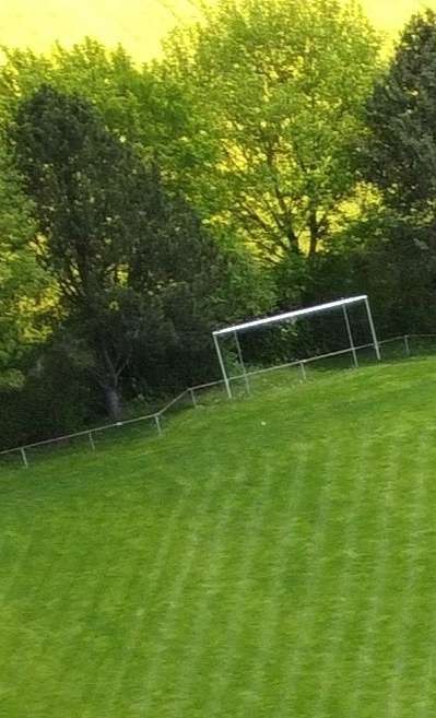 Ballfangzaun am Hauptspielfeld Sportplatz SC Lehr