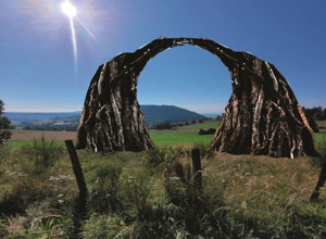 Waldkunst für ALLE - 5 neue Werke auf dem Waldkunstpfad Darmstadt