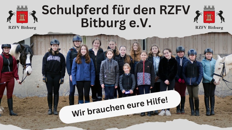 Schulpferd für den RZFV Bitburg e.V.
