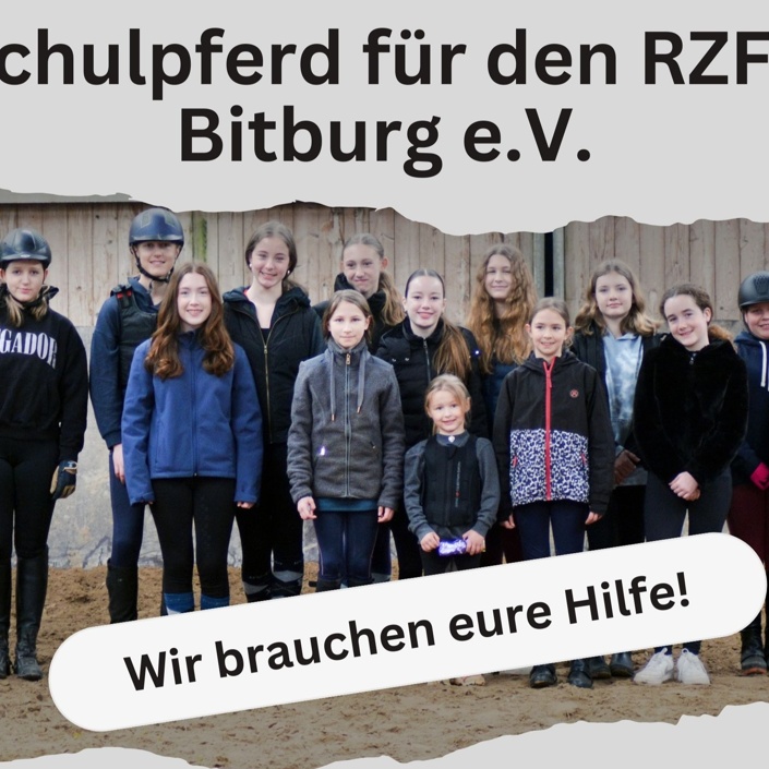 Schulpferd für den RZFV Bitburg e.V.