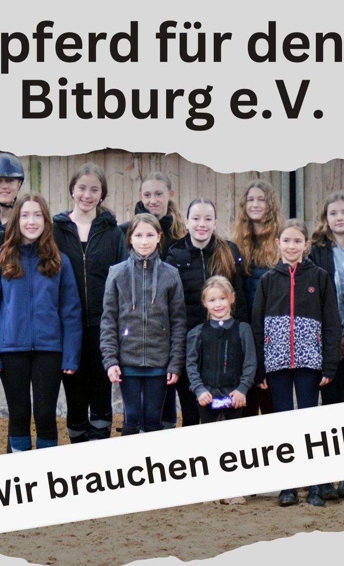 Schulpferd für den RZFV Bitburg e.V.