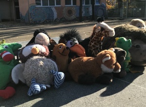 Gewaltprävention an der Nikolaus-Groß-Schule
