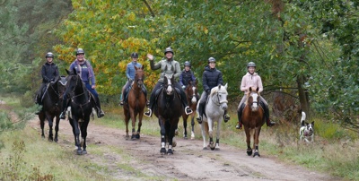 Erneuerung des Dressurplatzes - RG Ahlden