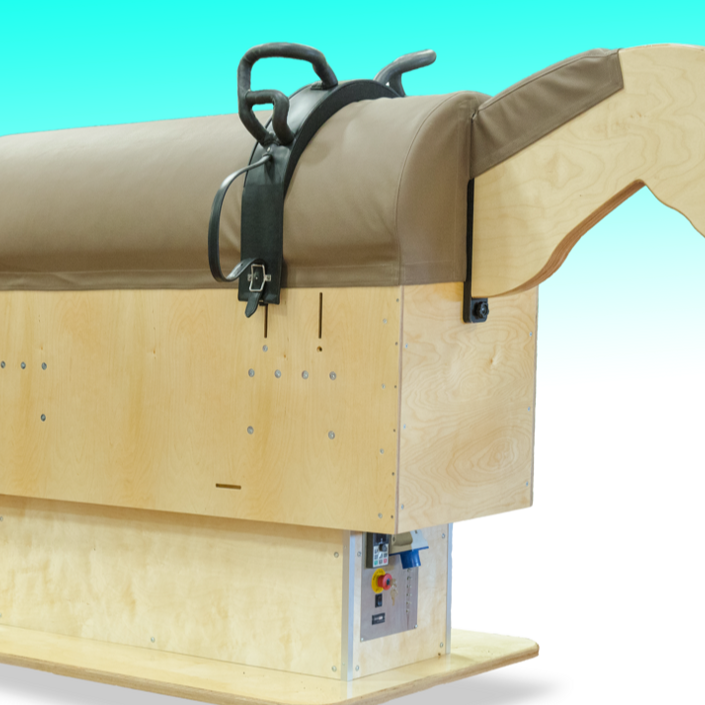 "Dolly Jumper" Voltigierpferd