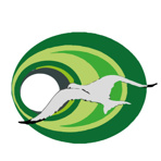 Anna Elisabeth Häfeli-Schmutterer