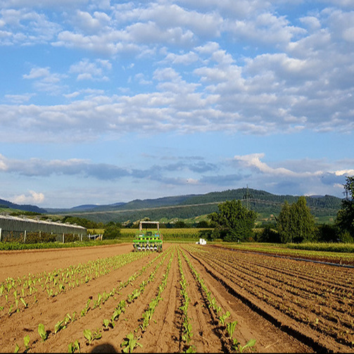 Initiativgruppe Bioregion Mittelbaden