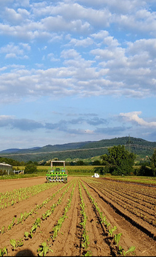 Initiativgruppe Bioregion Mittelbaden