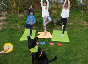 Schulhund für Grundschule Bombogen