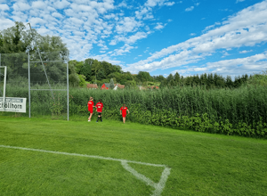 Ballfangzaun Hauptspielfeld Riedsportplatz