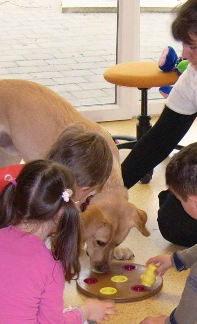 Therapie mit Hund Sam