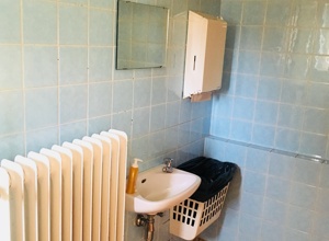Erneuerung der Damentoilette