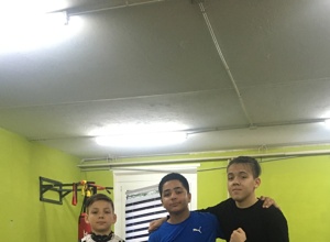 Boxclub Bautzen e.V
