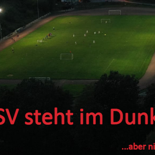LED-Flutlicht für TSV-Plätze
