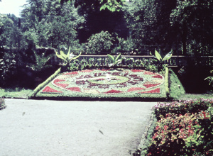 Frühlingserwachen in Neustadt (Orla)
