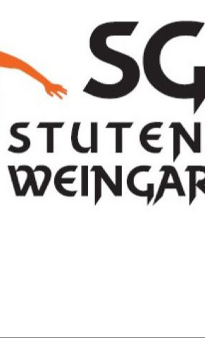 Jugendförderung der SG Stutensee-Weingarten - HANDBALL -