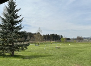 Mähroboter  HSV Tettnang