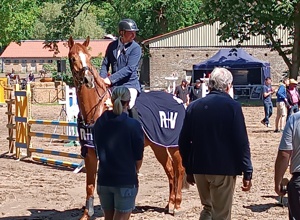 Reit- und Springturnier am Wentowsee